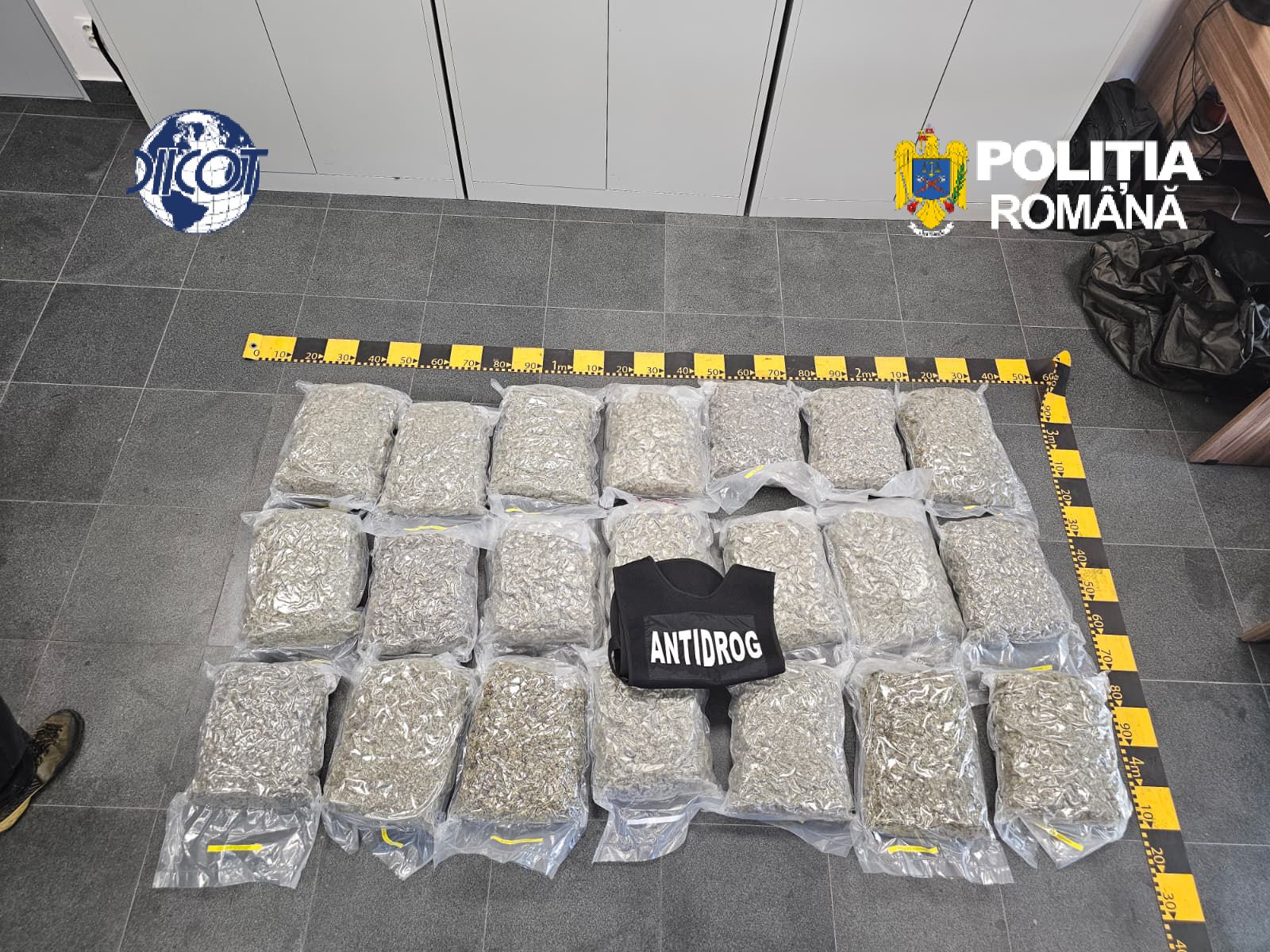 VIDEO. Captură uriașă de substanțe interzise la un dealer. Câți urma să încaseze bărbatul după vânzarea lor