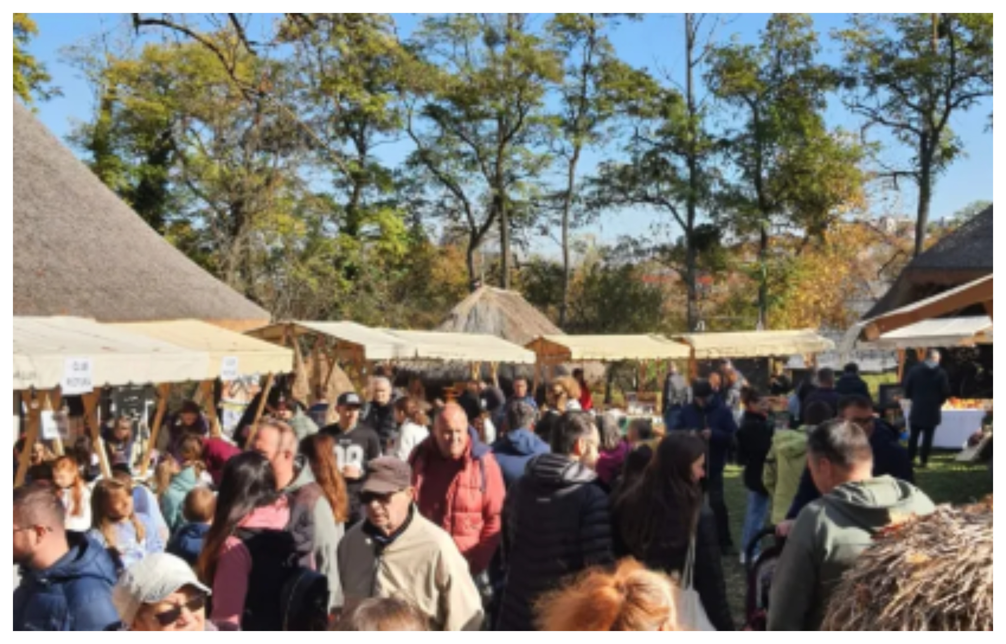 Clujenii sunt așteptați la Festivalul Toamnei! Satul tradițional prinde viață pe 3 și 4 octombrie, în Parcul Etnografic Național „Romulus Vuia”