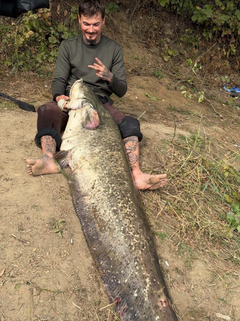 Captură record pe Someș / Un tânăr din Zalău a prins un somn de peste 2 metri