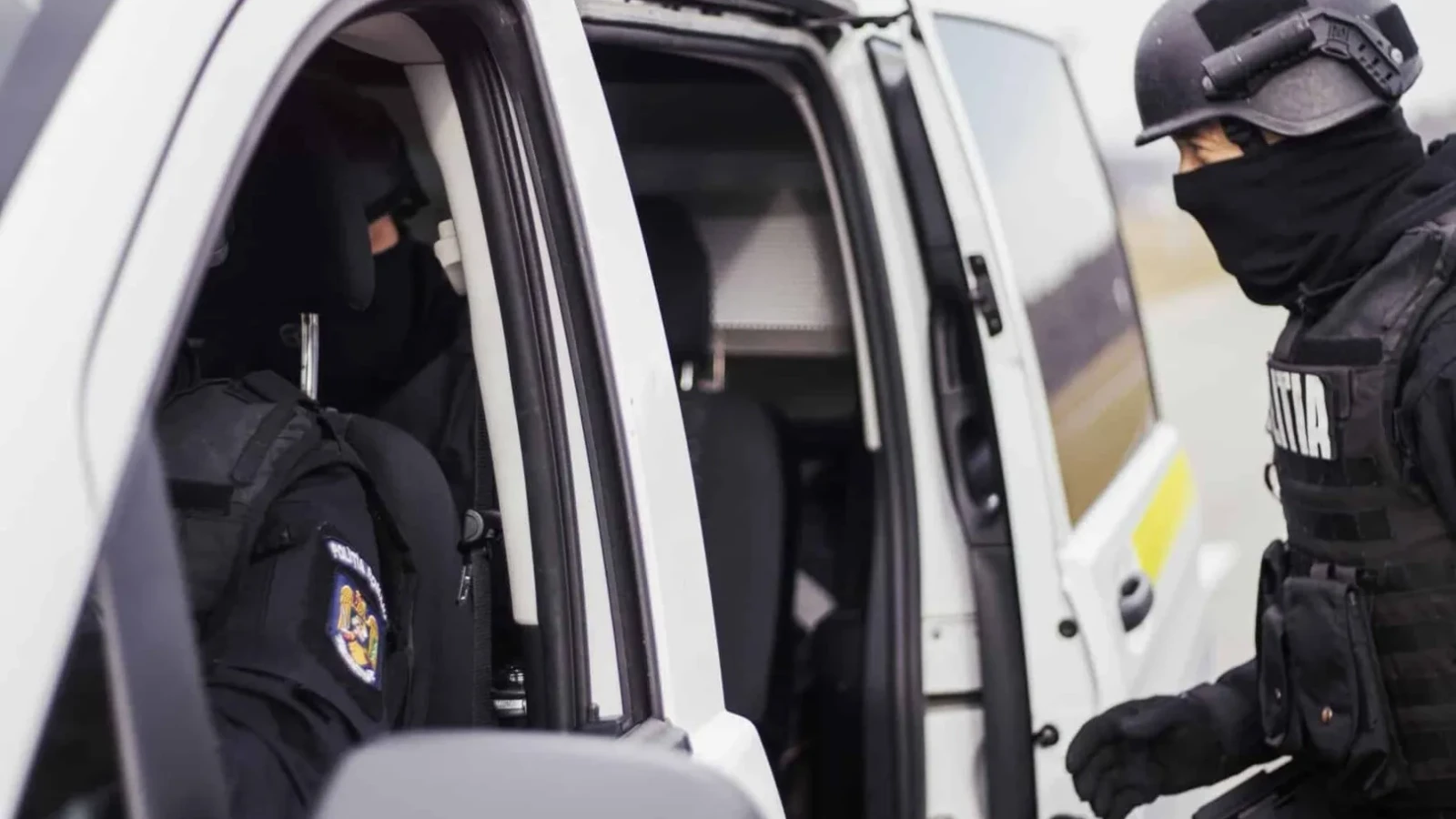 SURSE Socrul unui fost ministru al Transporturilor, vizat | Șefii ar fi controlat și licitațiile, și firmele care le câștigau: Lemn scos ilegal din pădurile Neamțului, în vizorul procurorilor