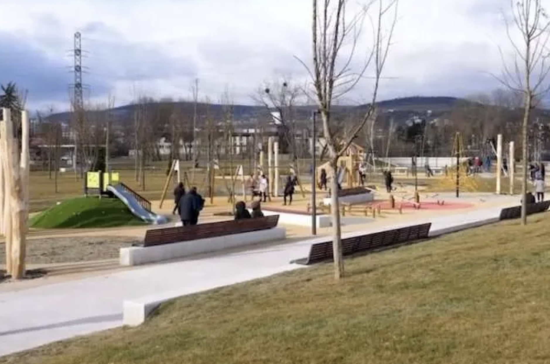 Ce se întâmplă cu copacii uscați din parcurile Clujului? Plantați primăvara, uscați la mijlocul verii! Ce i-a răspuns viceprimarul Dan Tarcea unui clujean