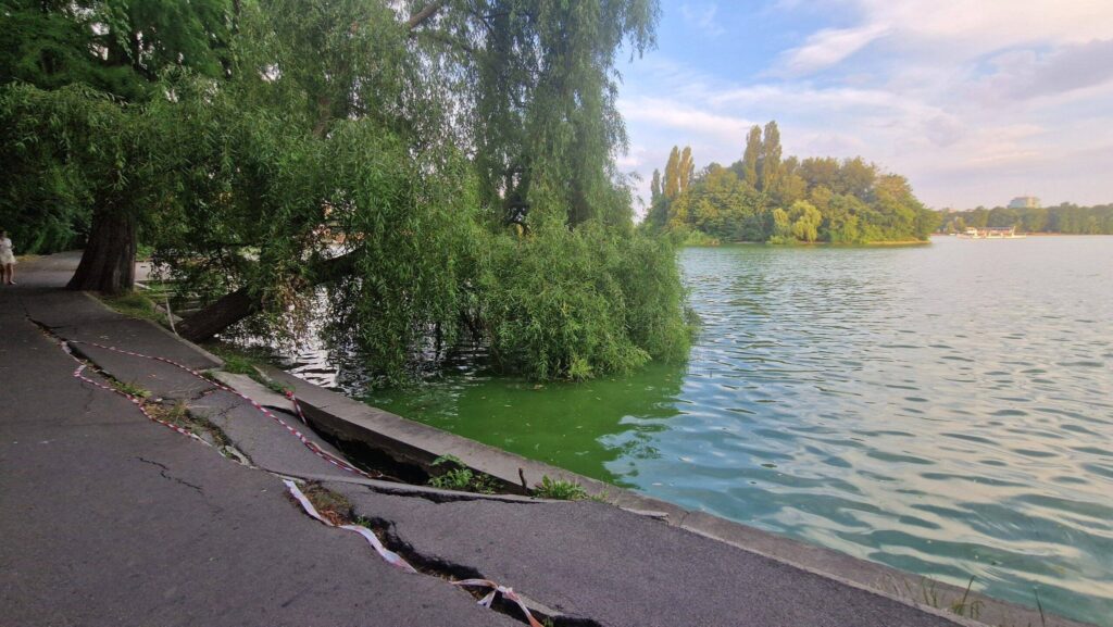 Primăria Capitalei modifică proiectul de reabilitare a malurilor Lacului Herăstrău / Ciucu: „Nu pot să-mi imaginez un Herăstrău cu o alee de doi metri de beton în jurul lacului”