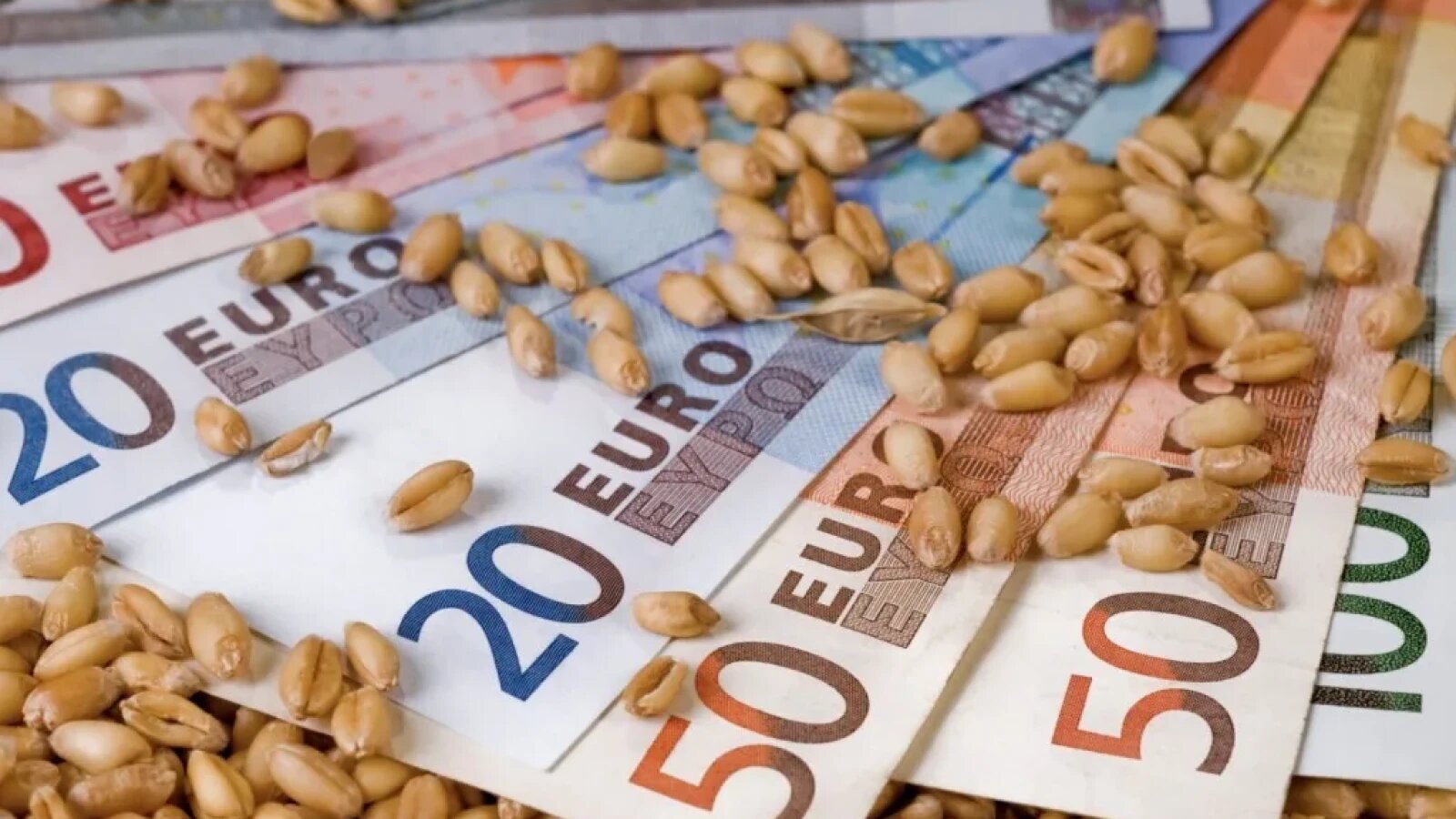 Furtună pe piețele agricole mondiale: Prețurile cerealelor o iau razna! Creșteri de până la 15% în timp record (Bloomberg)