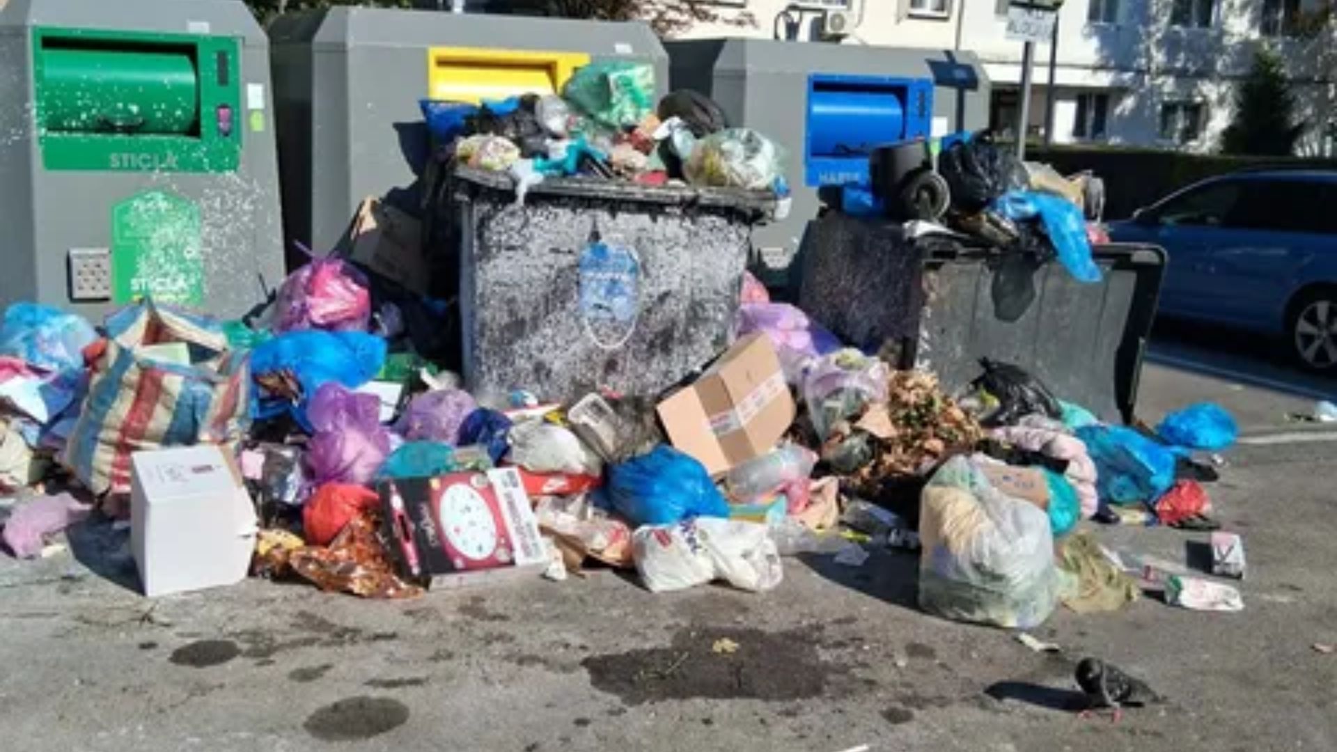 Mizerie de nedescris și mormane de gunoi lângă noile ghene din Mănăștur. Un clujean revoltat reclamă o invazie de șobolani: „Am văzut zeci, cât o pisică”