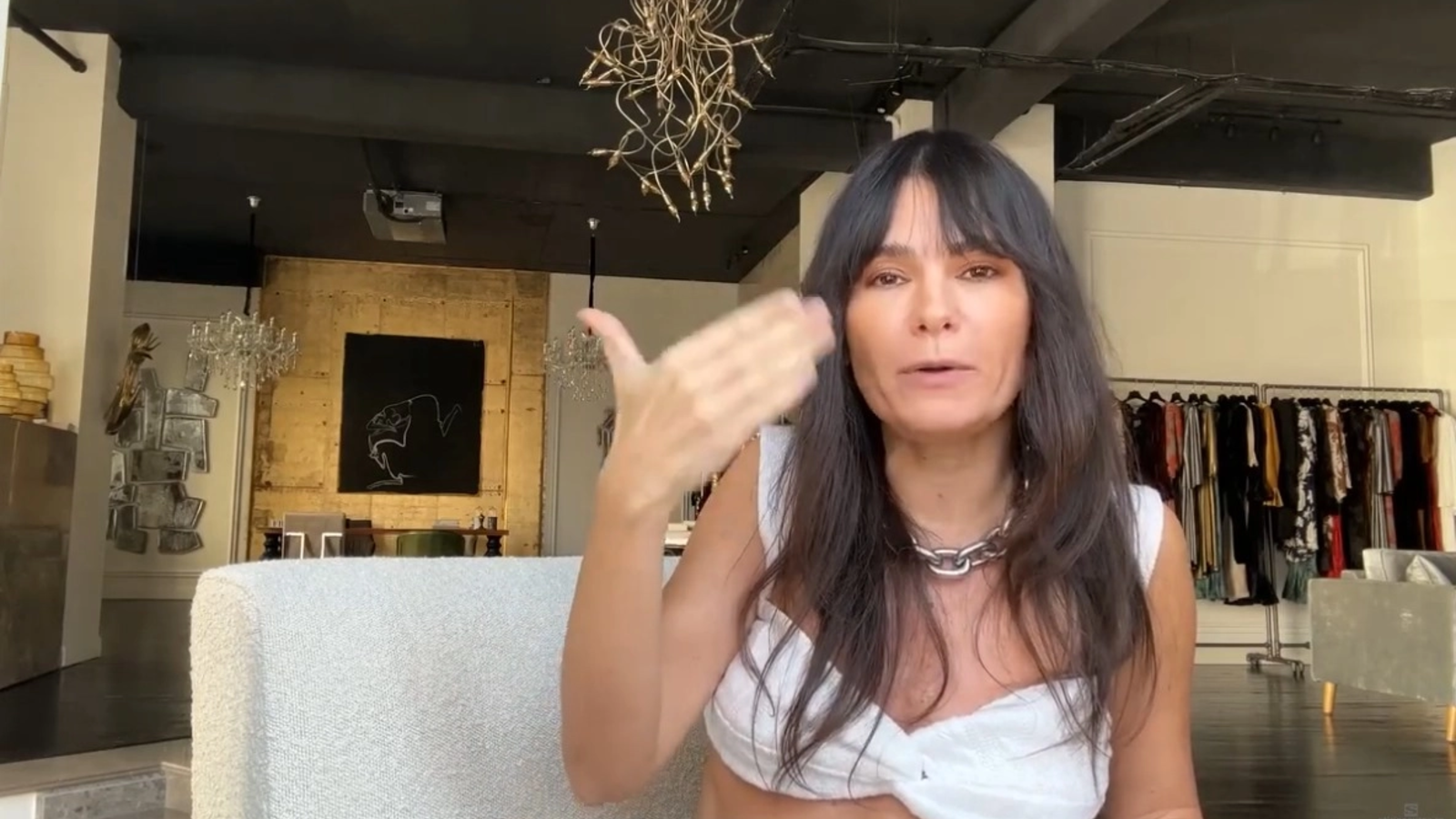 Dana Budeanu, atac dur la Luca Niculescu: "Un neica nimeni. Ce experiență are Grinch să scrie programe de guvernare"