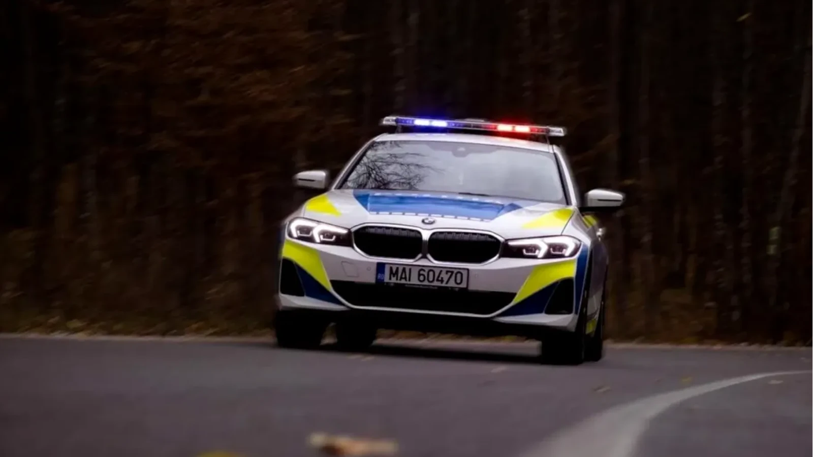 Scandal nou în poliție - Europol acuză că la IPJ Satu Mare polițiștii sunt puși să cântărească lemnele de foc
