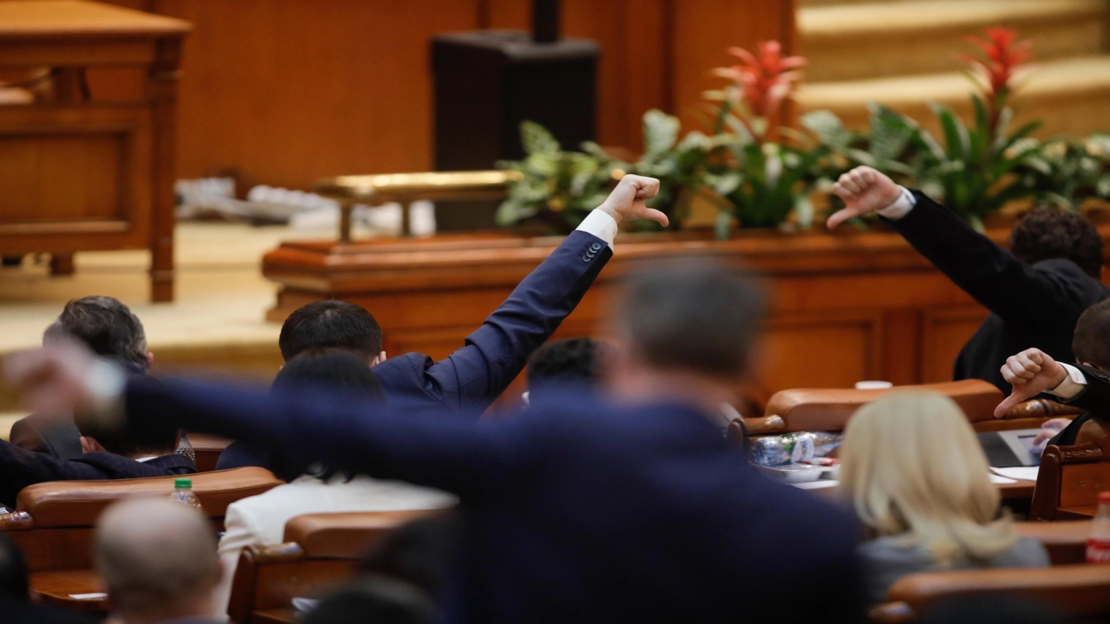 O nouă formulă de putere? Disidenții din PNL și AUR au alternative în Parlament