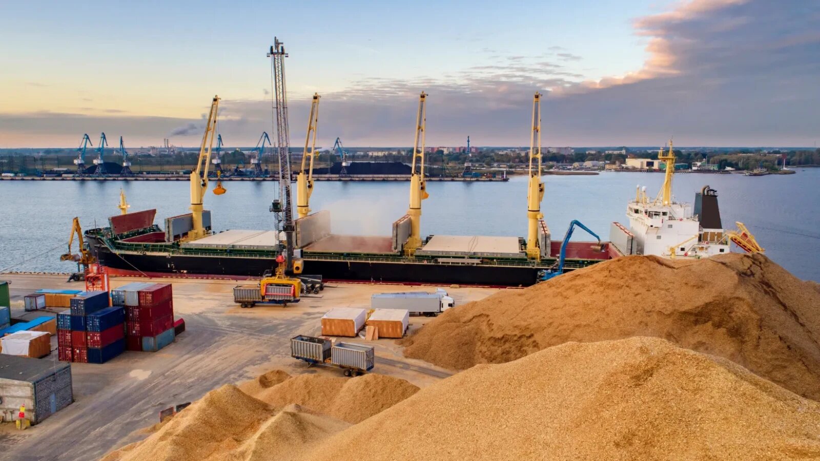 Blocada exporturilor de cereale din Ucraina ameninţă producţia agricolă şi securitatea alimentară a planetei