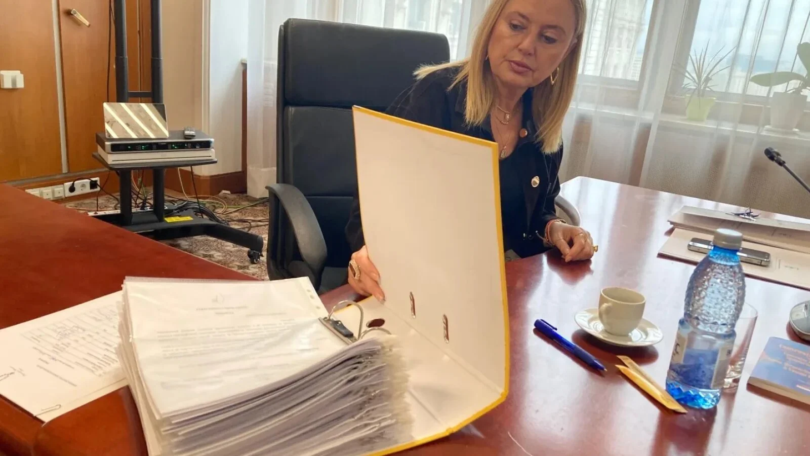 Ancheta Bolojan - Tănescu, în impas. Nadia Cerva: „Nu mai am nicio suspiciune, CCR blochează” / Negru: „Noi am creat acest monstru inamovibil”