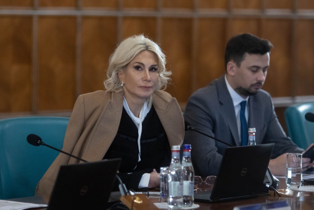 Raluca Turcan: PNL va oferi Guvernului Niculescu „ceea ce PSD nu a oferit niciodată Guvernului Bolojan”