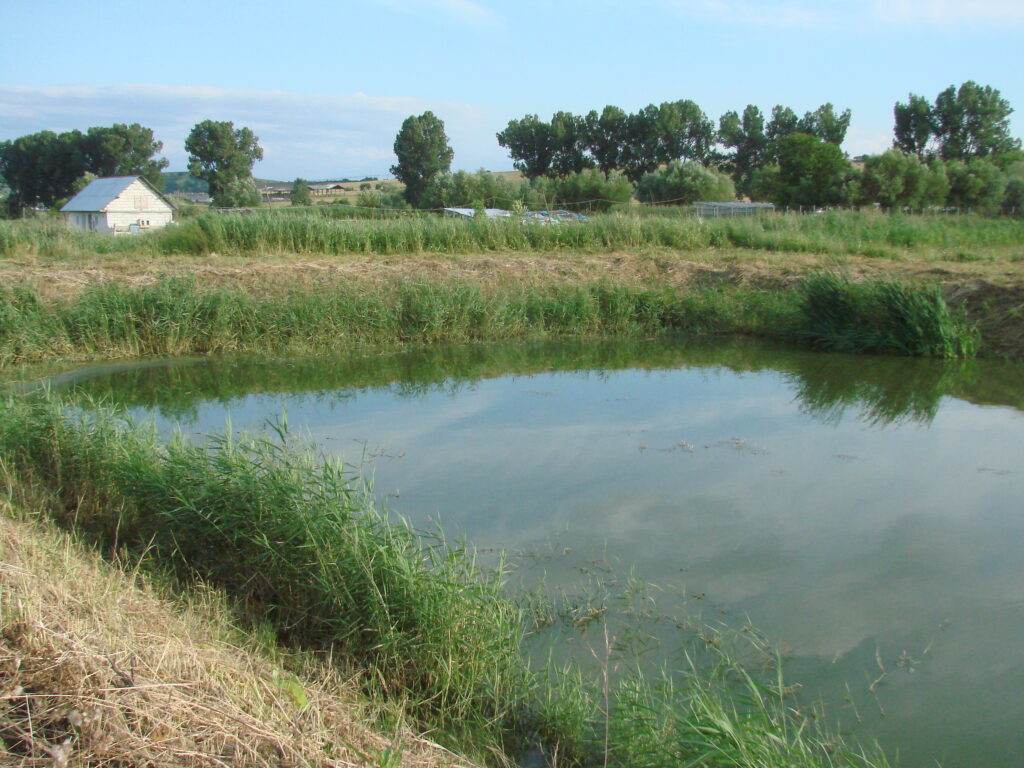 FOTO Primul sistem de gestionare a apelor uzate bazat pe soluții naturale în mediul rural din România, implementat în satul Viscri, inclus în patrimoniul UNESCO / A primit premiul special al Noului Bauhaus European pentru reziliență în domeniul apei