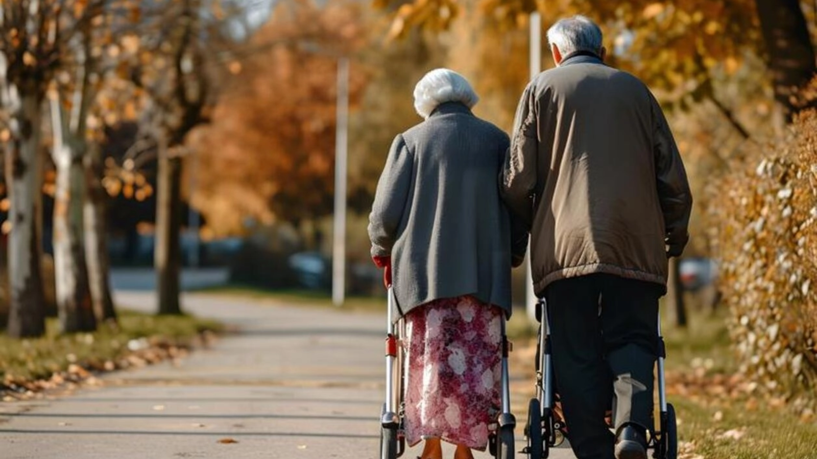Bătrânii singuri închiriază „nepoți” care să-i ajute