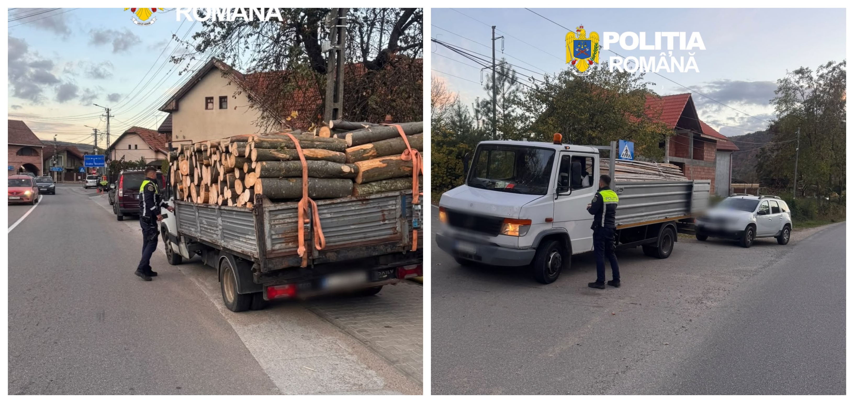 Transport de lemne fără acte, prins la primele ore ale dimineții în Cluj! Polițiștii au confiscat întreaga încărcătură
