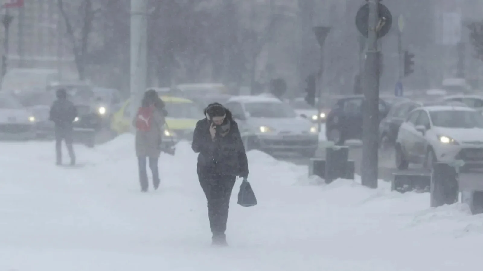 Vine o iarnă grea? Ce spun meteorologii despre semnele din natură