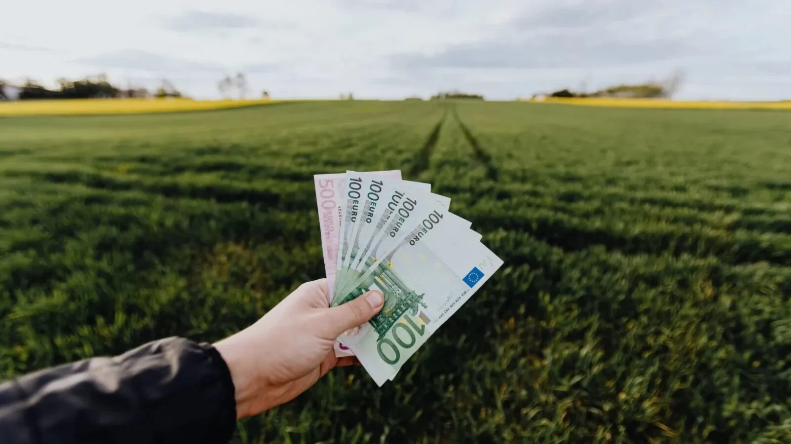 Se reașază piesele pe tabla agriculturii europene: UE negociază viitorul PAC și împărțirea fondurilor