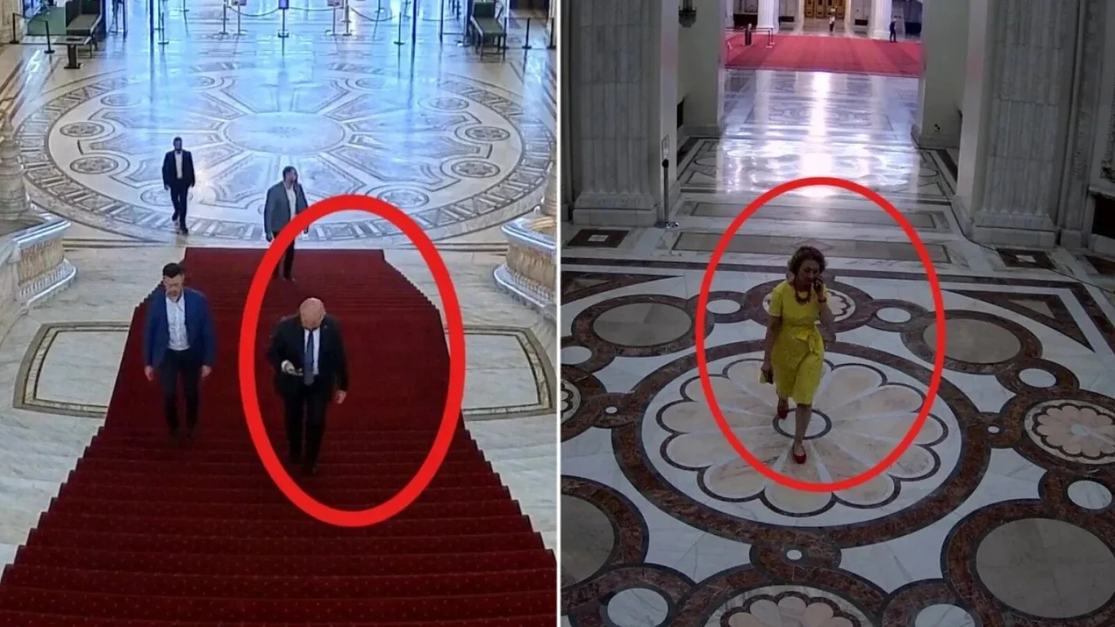 Simina Tănăsescu (CCR) le-a răspuns senatorilor care anchetează întâlnirea cu Bolojan