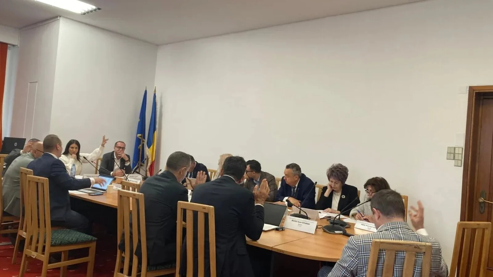 „Terminați odată cu PSD-ul. Toată ziua dați în PSD!” - Două senatoare au purtat un dialog acid într-o ședință de comisie