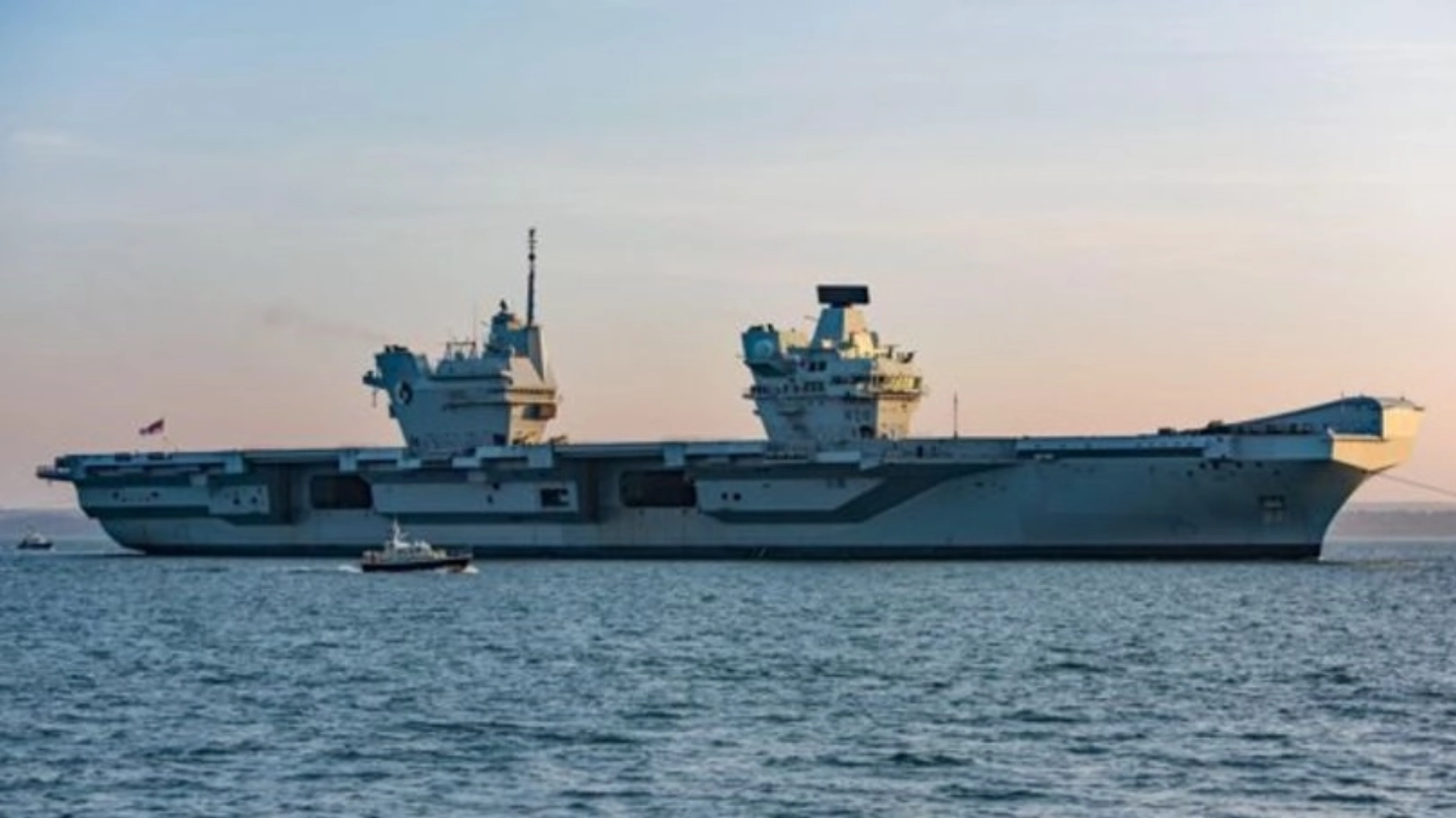 Animals International cere suspendarea exporturilor maritime de animale vii din Portul Midia: „Dacă o navă este lovită de o dronă, nu pot fi evacuate”