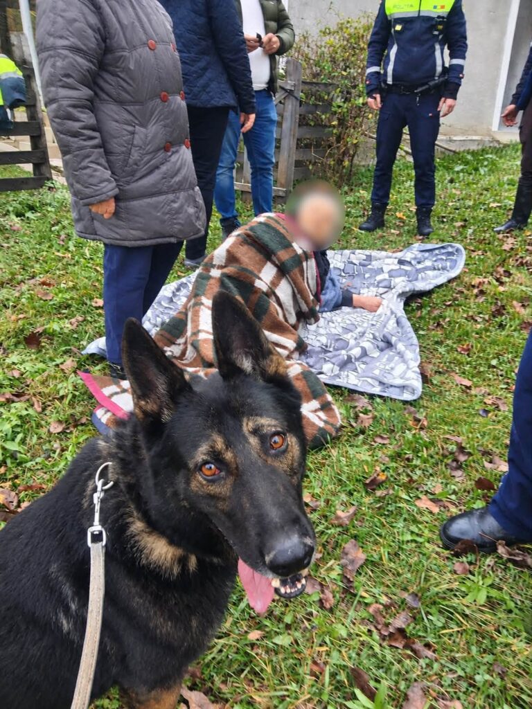 Câinele de urmă Aris a mers pe urmele bătrânei dispărute în județul Neamț / Femeia a fost găsită în apropierea unei păduri, căzută lângă un izvor