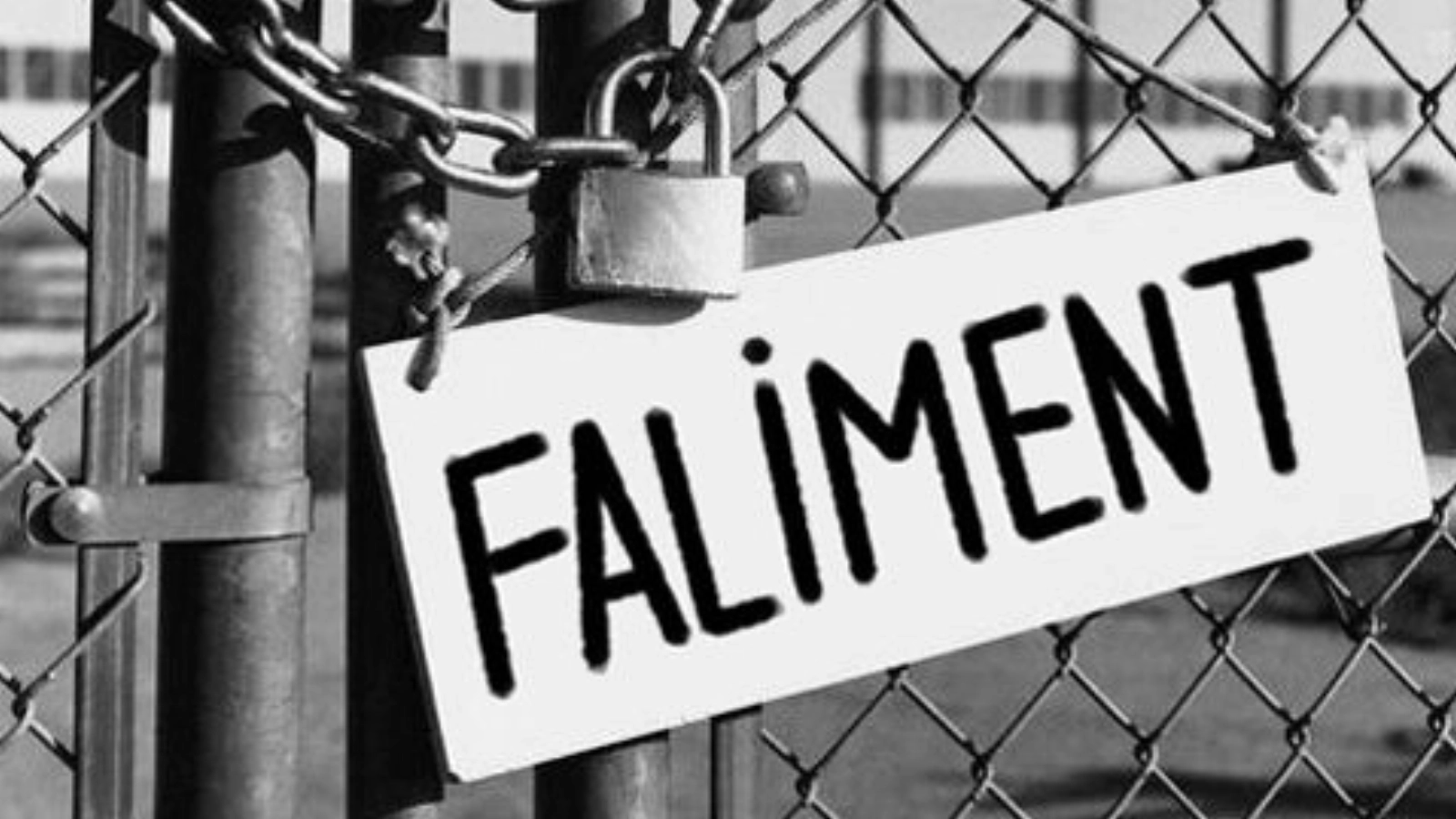 Regia Autonomă a Distribuţiei şi Exploatării Filmelor (RADEF) RomâniaFilm a intrat în faliment